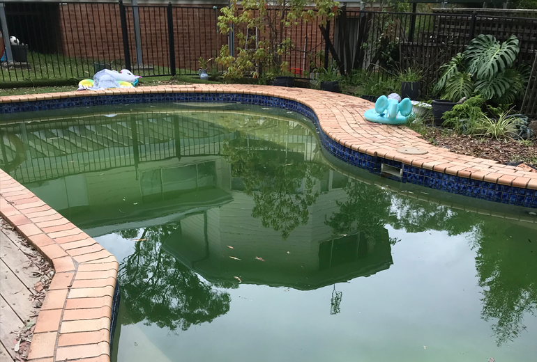 Green Pool Recovery Service by Poseidon Pool Services in Central Coast Australia. Actual Photo from Poseidon Pool Services - Central Coast NSW